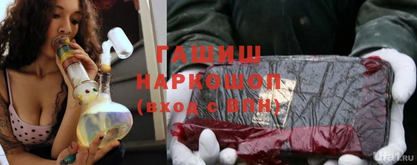 индика Пересвет