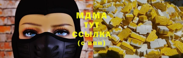 индика Пересвет