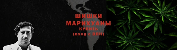 индика Пересвет