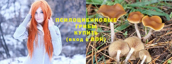 индика Пересвет