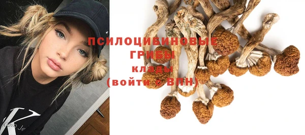 индика Пересвет