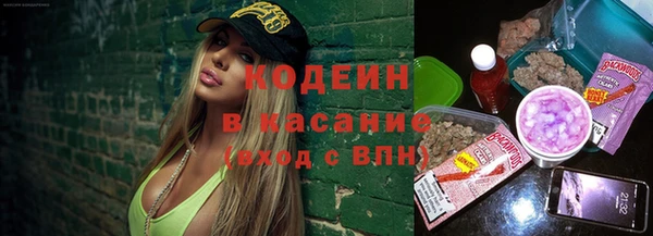 индика Пересвет