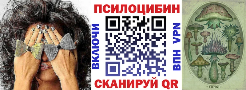 Купить где  Самара  Псилоцибиновые грибы мухоморы 